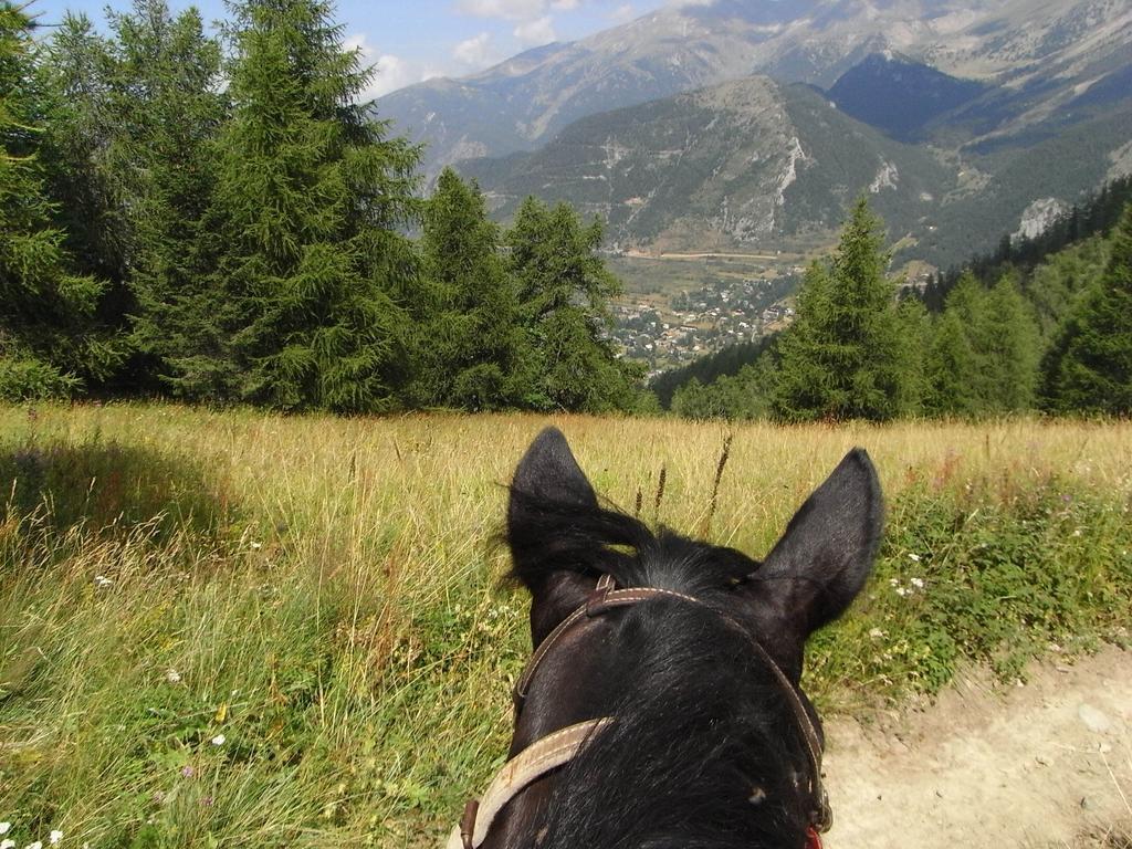 Gite Montagne Mercantour Valdeblore Exterior foto